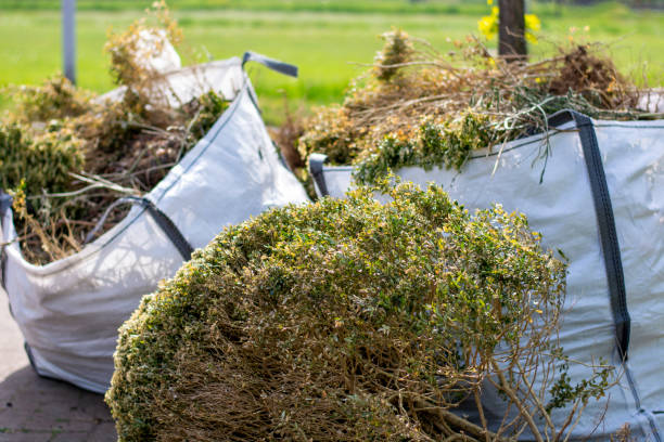 Best Local Junk Hauling  in Healdsburg, CA