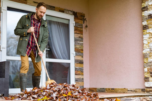Best Junk Removal Near Me  in Healdsburg, CA